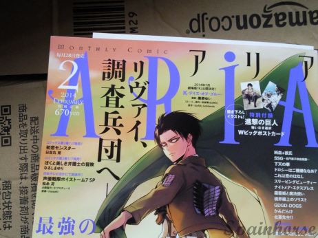 Rivai ARIA spainhorse 5